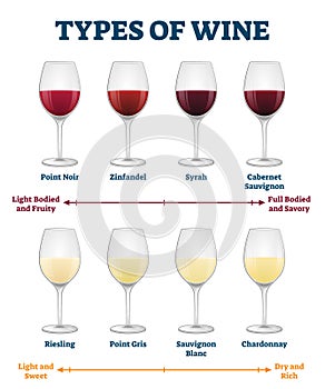 Types of wine vector illustration. Labeled red and white drink explanation.