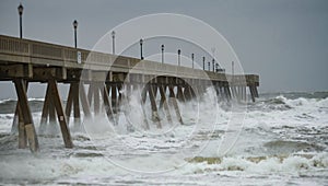 Typhoon Storm Surge