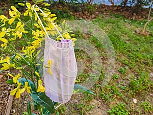 Typical 3-ply surgical mask to cover the mouth and nose