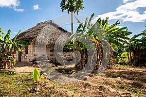 Typical african house made of mud and mudbrick with thatched roof, Pemba Island, Tanzania