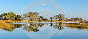 Typical African river landscape, Bwabwata, Namibia