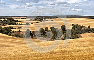 Typical Agricultural Landscape in Teruel,  Spain