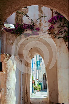 Alleway in Terra Murata of Procida photo