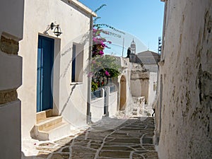 typical alley in street center village of Noirmoutier island in vendee west coast french