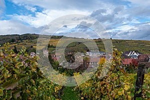 typical Alsatian village in the middle of the vineyards