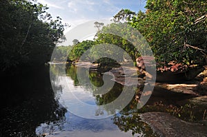 Typical Amazon Creek (The Amazonia) photo