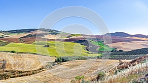 Typical Andalusian countryside landscape