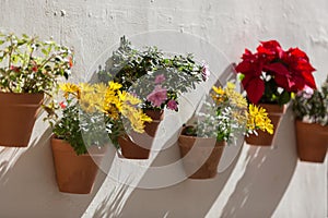 Typical Andalusian decoration with flowers and white walls