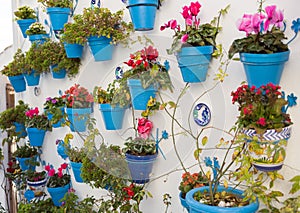 Typical Andalusian decoration with flowers and white walls