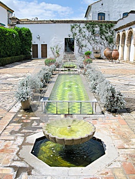 Typical Andalusian patio.