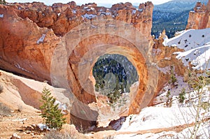 The Hoodoos, Bryce Canyon, Utah, USA