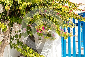 Typical architecture of houses on the island of Santorini in Greece in the Cyclades