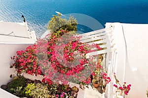 Typical architecture of houses on the island of Santorini in Greece in the Cyclades