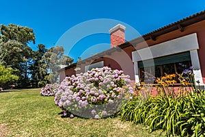 Typical Argentinan farm photo