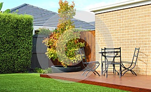 Typical Australian backyard features a lush artificial grass lawn, accompanied by a charming wooden decking area adorned with