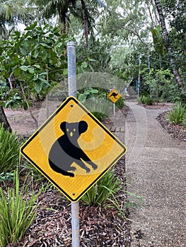 A typical Australian yellow road sign warning for koalas crossing, with a sign warning for kangaroos in the background