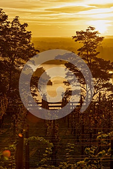 A typical autumn golden coloured sunrise seen from one of the hills outside Maastricht with a view over the valley of the river Me