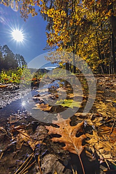 Typical autumn landscape in Trebonsko region near Trebon city in Southern Bohemia, Czech Republic