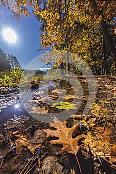 Typical autumn landscape in Trebonsko region near Trebon city in Southern Bohemia, Czech Republic