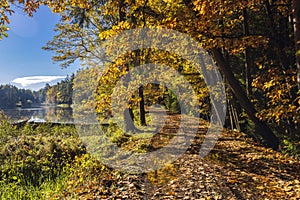 Typical autumn landscape in Trebonsko region near Trebon city in Southern Bohemia, Czech Republic