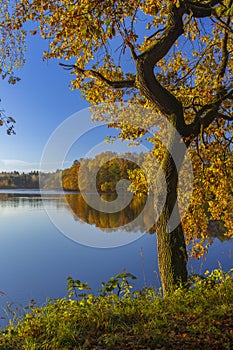 Typical autumn landscape in Trebonsko region in Southern Bohemia, Czech Republic