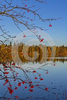 Typical autumn landscape in Trebonsko region in Southern Bohemia, Czech Republic