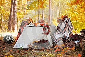 Typical Autumn Picnic Background Autumn Still Life With seasonal fruits and vegetables Wooden Background Copy Space