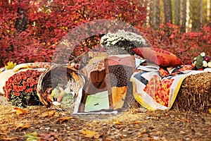 Typical Autumn Picnic Background Autumn Still Life With seasonal fruits and vegetables Wooden Background Copy Space