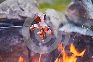 Typical barbecue sausage made from melted pork and lard on the stick.