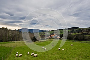 Typical Basque farmhouse with sheep grazing on a cloudy day