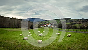 Typical Basque farmhouse with sheep grazing on a cloudy day