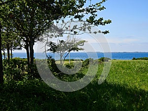 Typical beautiful Danish coastline landscape in the summer