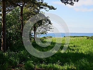 Typical beautiful Danish coastline landscape in the summer