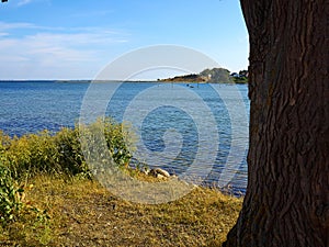 Typical beautiful Danish coastline landscape in the summer