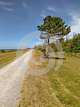 Typical Bicycle Path On The Island Of Fehmarn, Bicycles Stand Against A Tree