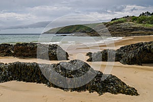 Typical brittany landscape with lonely beach with rocks covered with algae and seaweed and cloudy sky in the background