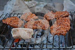 Typical calabrian sausage grilled on fire in the woods