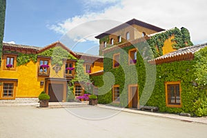 Typical Castilian building with orange facade, with ivy and purple flowers