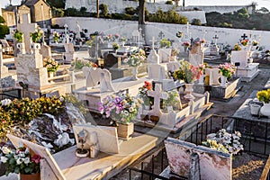 Typical Catholic cemetery with the graves decorated photo