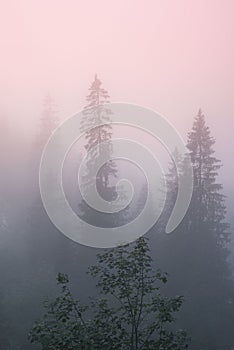 Mountain landscape in Chartreuse