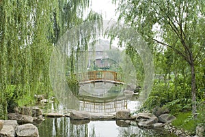 Typical chinese garden