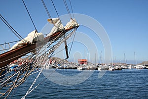 Typical coast scene in Sweden photo