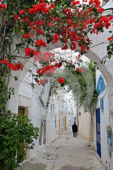 Typical cobbled and narrow street with colorful doors, arcades and colorful flowers inside the historical medina of Tunis