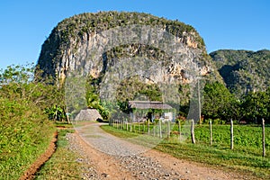 Typical country house at the ViÃÂ±ales valley in Cuba photo