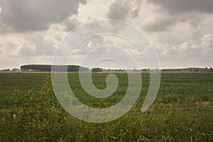 Typical countryside landscape of the Padana plain in Veneto