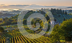 typical countryside summer landscape, Tuscany