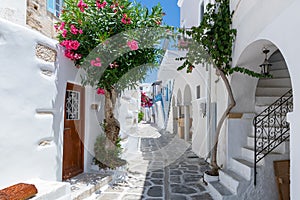 The typical cycladic, whitewashed alleys with colorful flowers at Parikia on the island of Paros