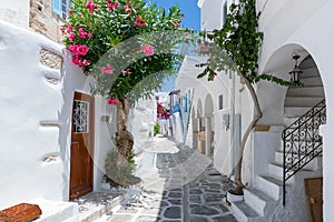 The typical cycladic, whitewashed alleys with colorful flowers at Parikia on the island of Paros photo