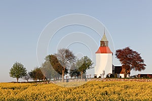 Typical danish church in the countryside with a field of rapeseed