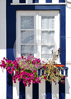 Typical decorated window in Costa Nova